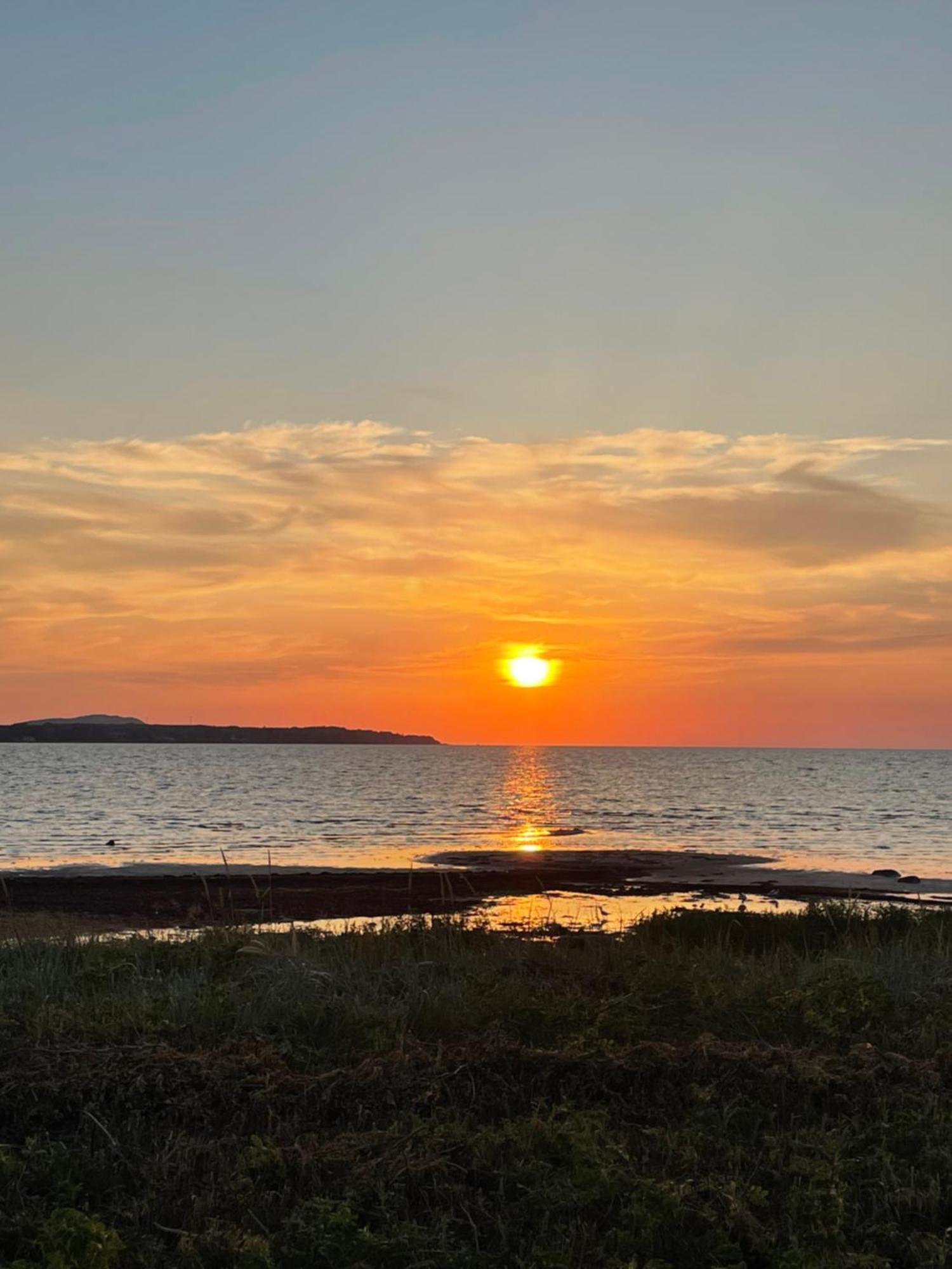 Nice Child-Friendly House 200M From Beautiful Beach,Near Kullaberg Farhult 외부 사진